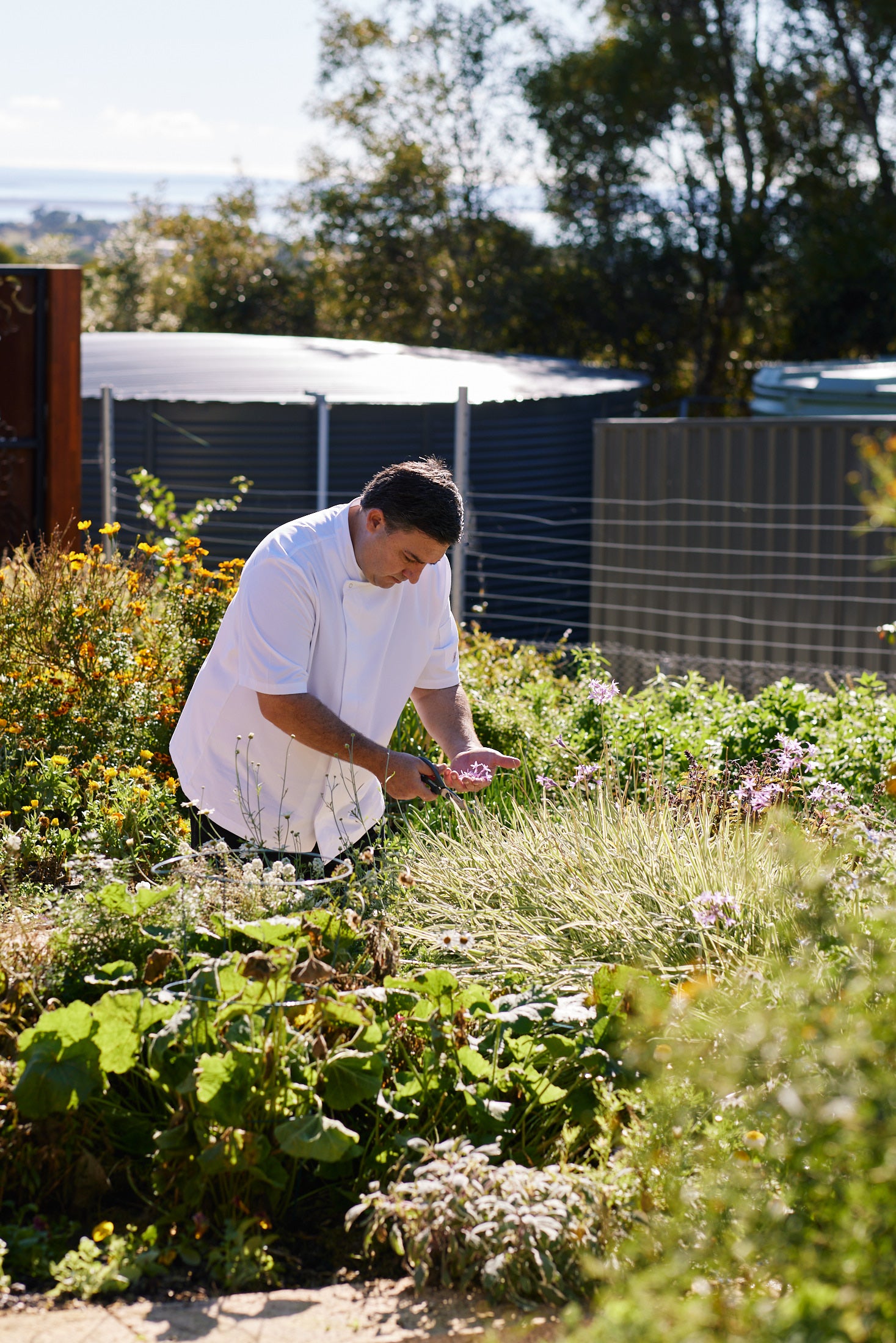 Line & Label Restaurant