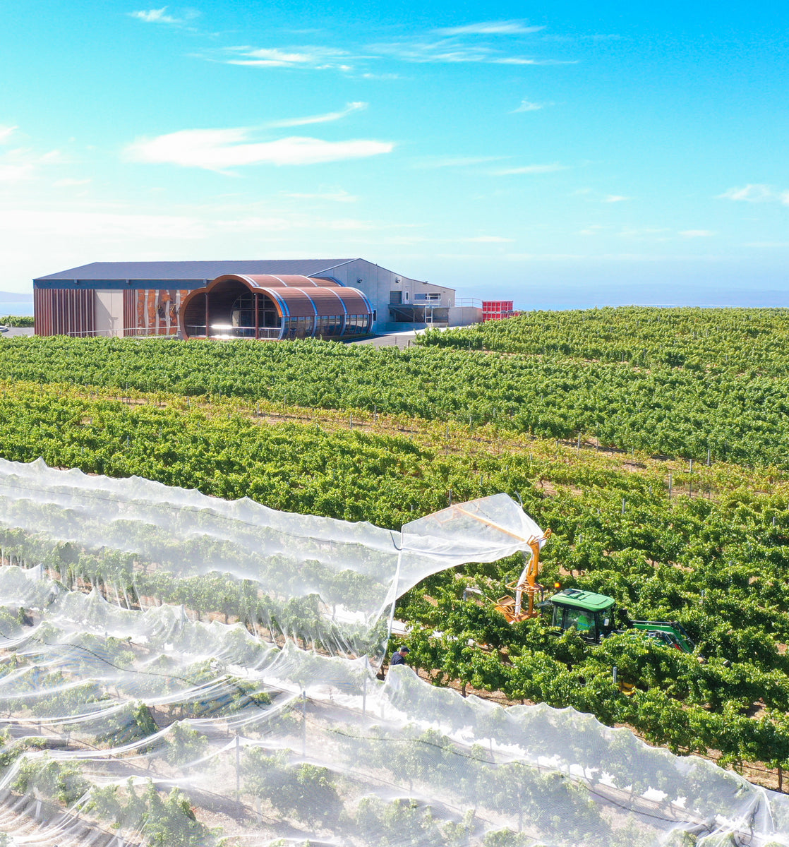 Peter Teakle Wines - Vineyard